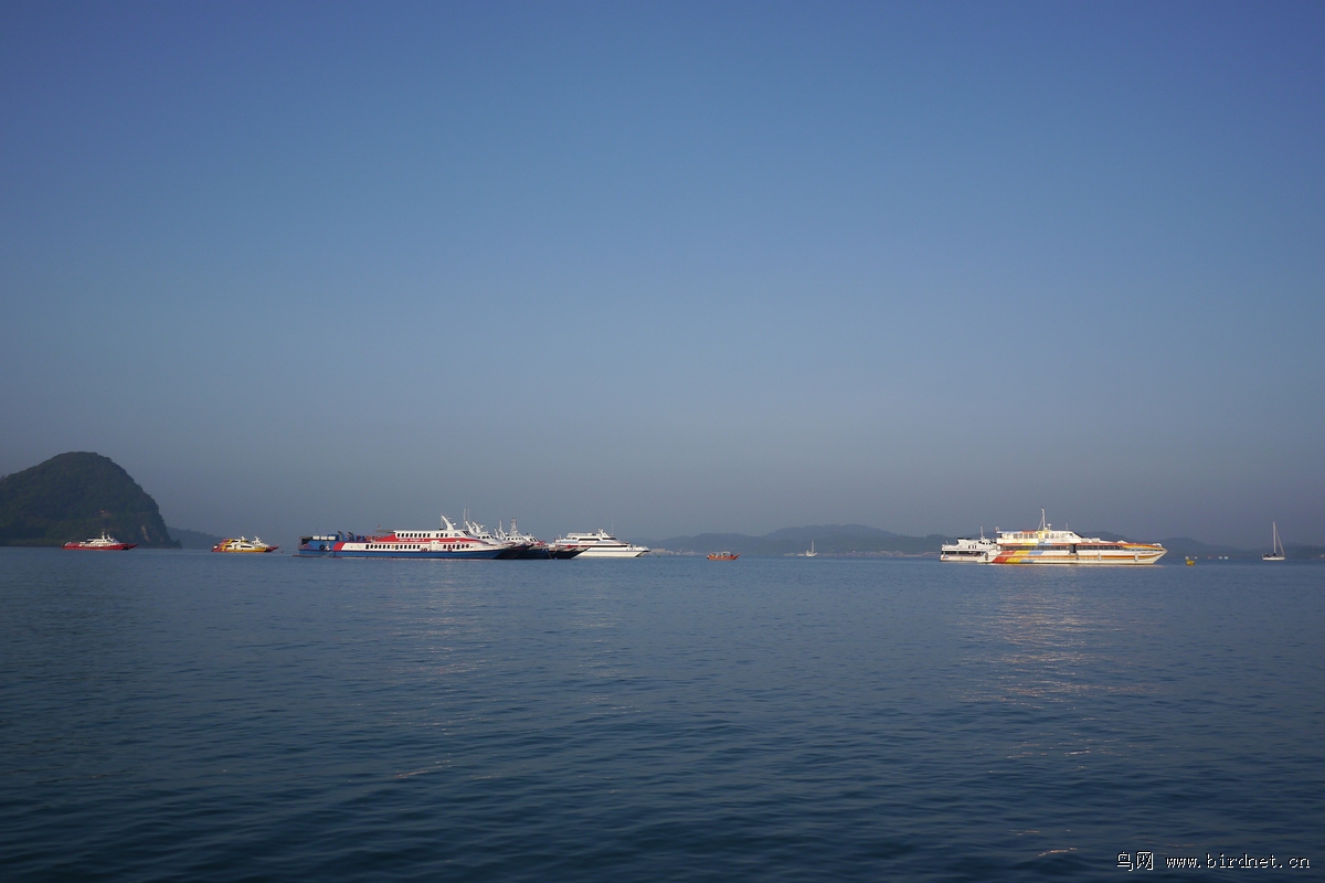 ��������ɫ