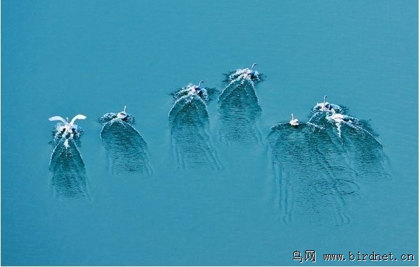 jpg