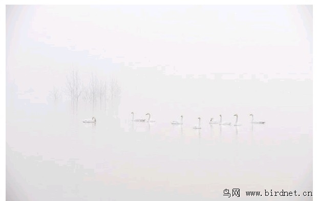 jpg