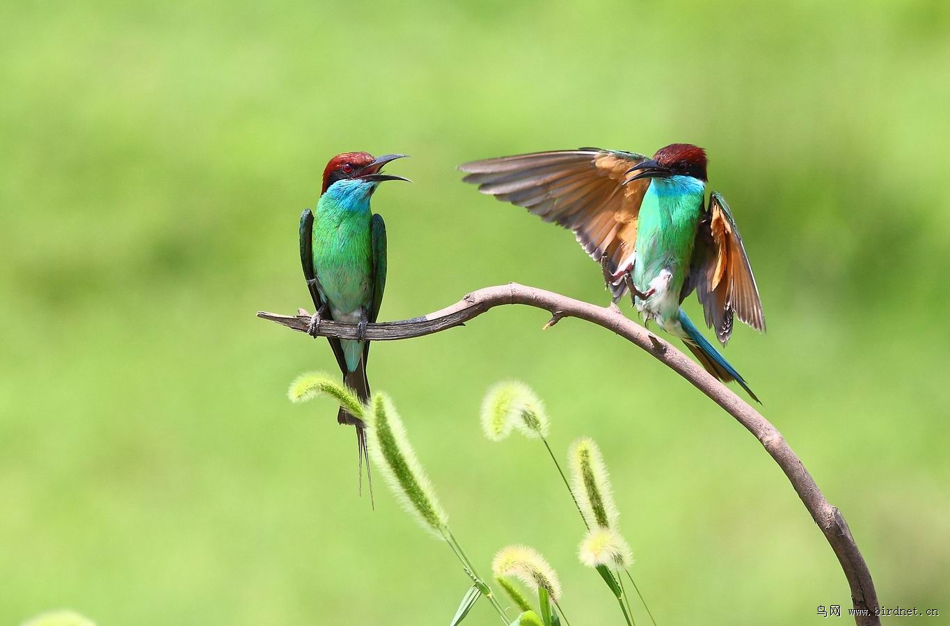 祝福建版挺进200k!