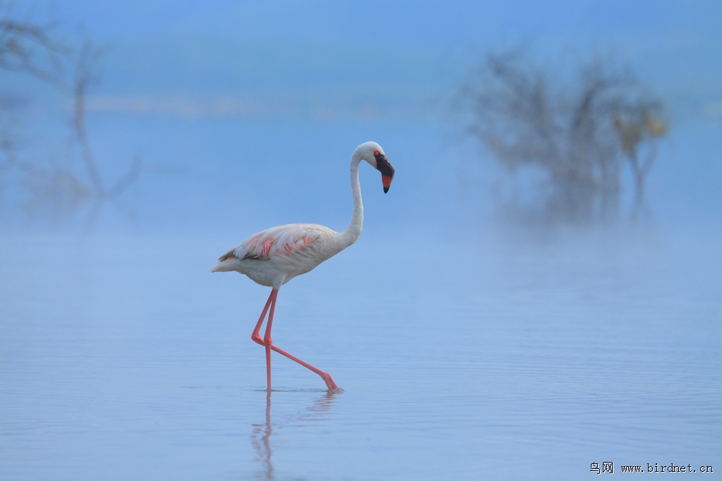 7. 9.10.13 .15.16.17.18.19.20.2.