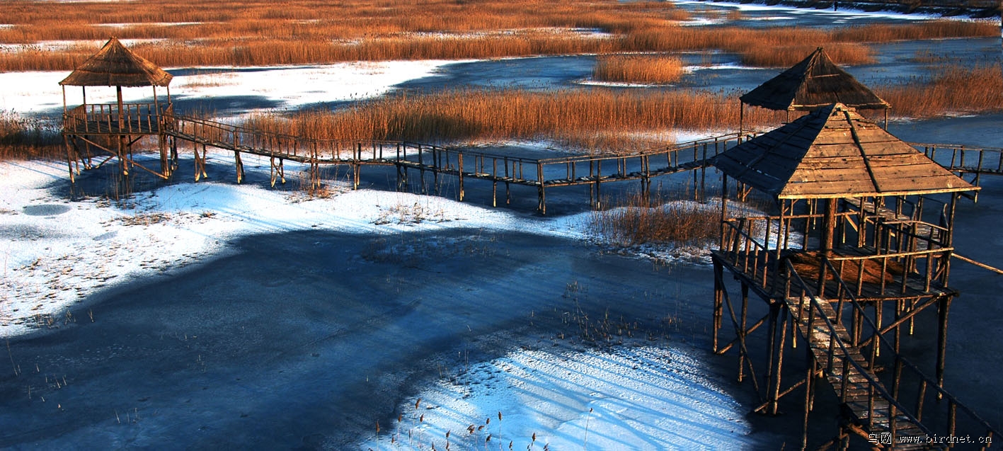 ����Ĳ�����ʪ��