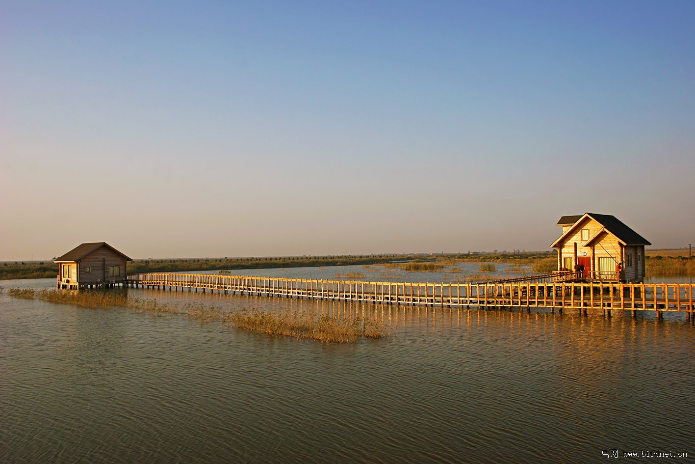 ����������-ˮ������ʦ����