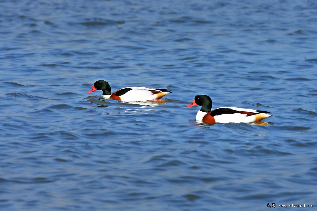 ʪ����±ˮ������̱���Ѽ