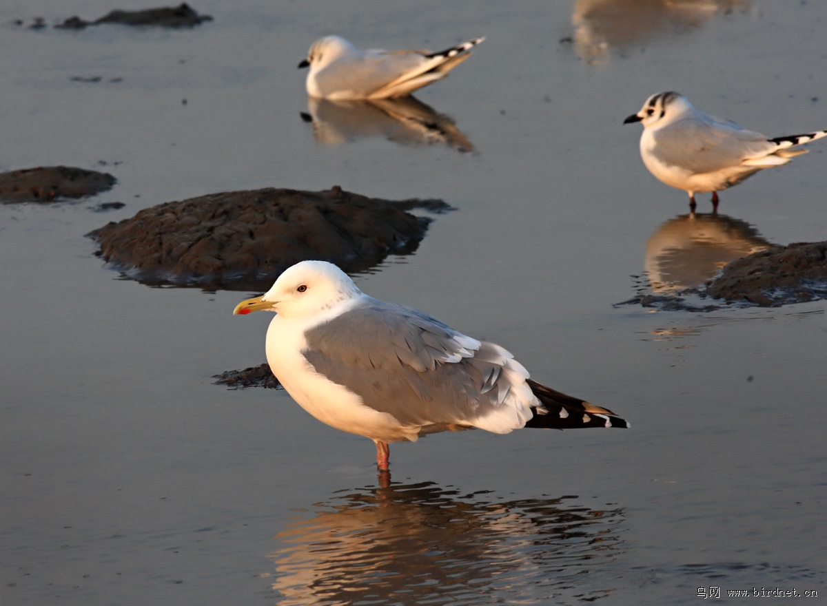 ��ŸҲ�ǲ�����ʪ��Խ������Ҫ����