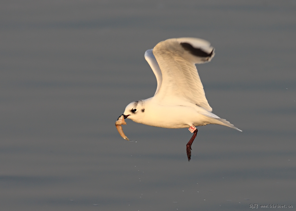 ��ʪ�غӿ�Խ���ĺ���Ÿ