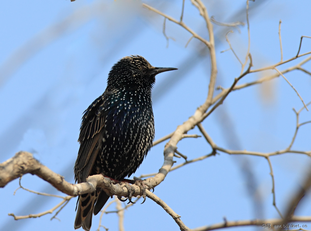 ÿ�궬�죬�����ϳ����ͻ�����Ⱥ�������٣����ܿ�������Ȼ�ˣ���ѻ����ȸ��ʪ�ؾͺܶ��ˡ�