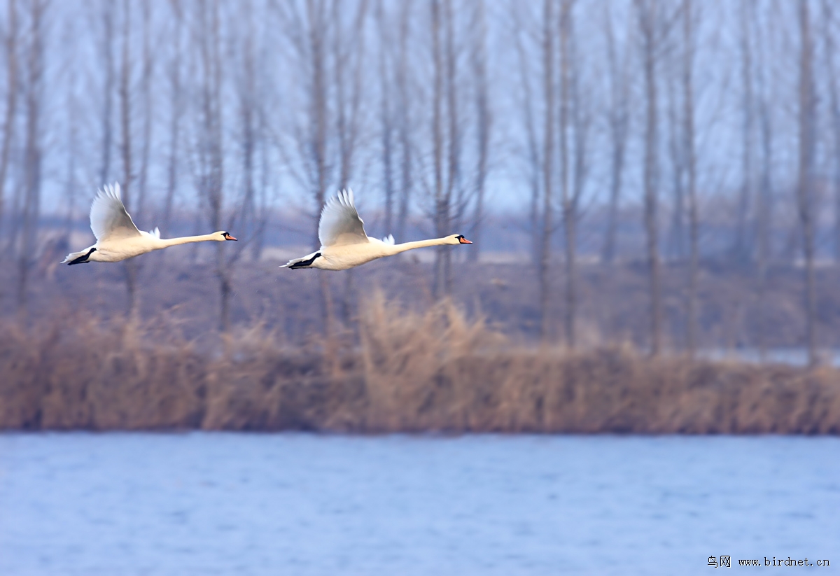 �������س�����ũ���ĵ���