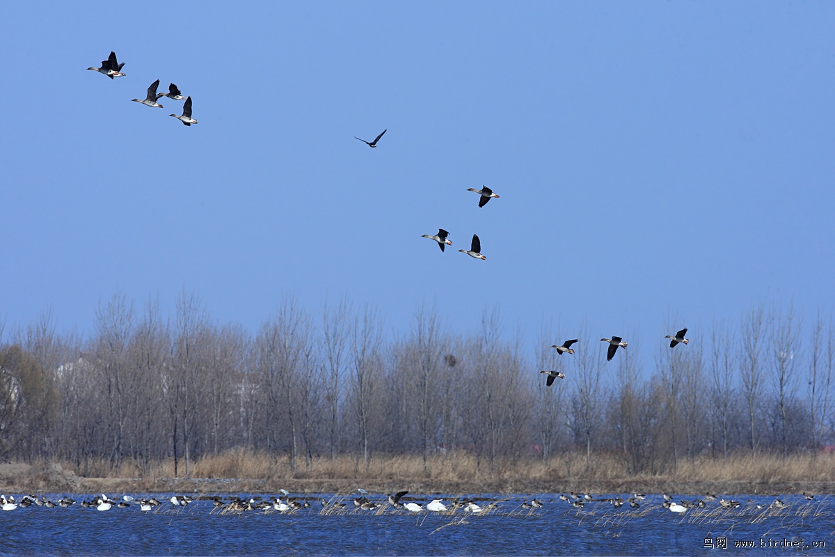 �ƴ���ʫ����ά��д�ľ����ҿ����ǲ����ڲ�����ʪ�صõ��������ء�