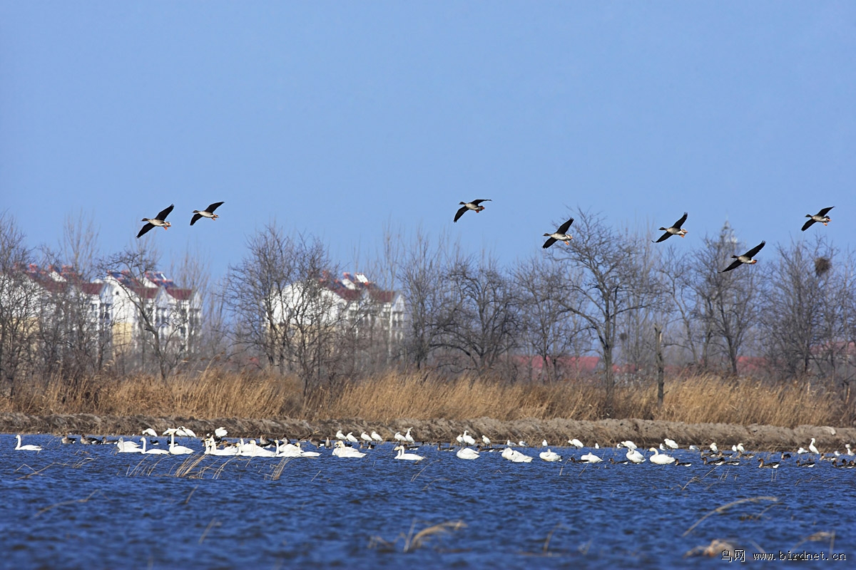 ��ά�ġ��������Ȱ����䡱���Ҹĳ��ˡ��ƴ����ʰ����䡱�䲻���ţ���Ҳֱ���ˡ��������һ��ͼƬ��������ʪ�ػ����ı��浾����