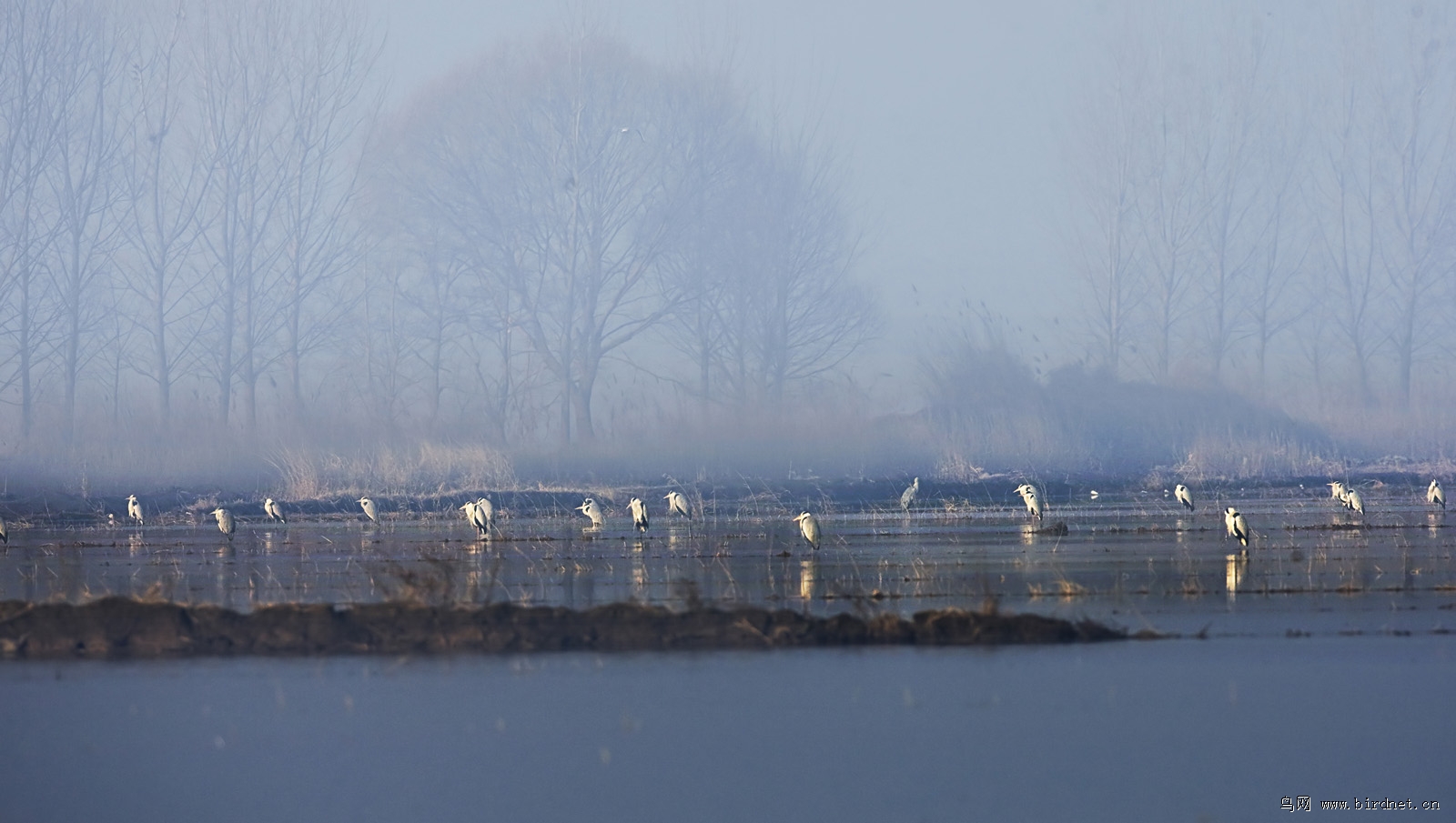 ���ͼƬ������ʱż�ã���ʱ��û�����⣬����Ƭ�ӵ�ʱ��ȴ���ú�����ϲ���������ǡ��������������ʡ����˵ĸо�����Ĵ�������á�