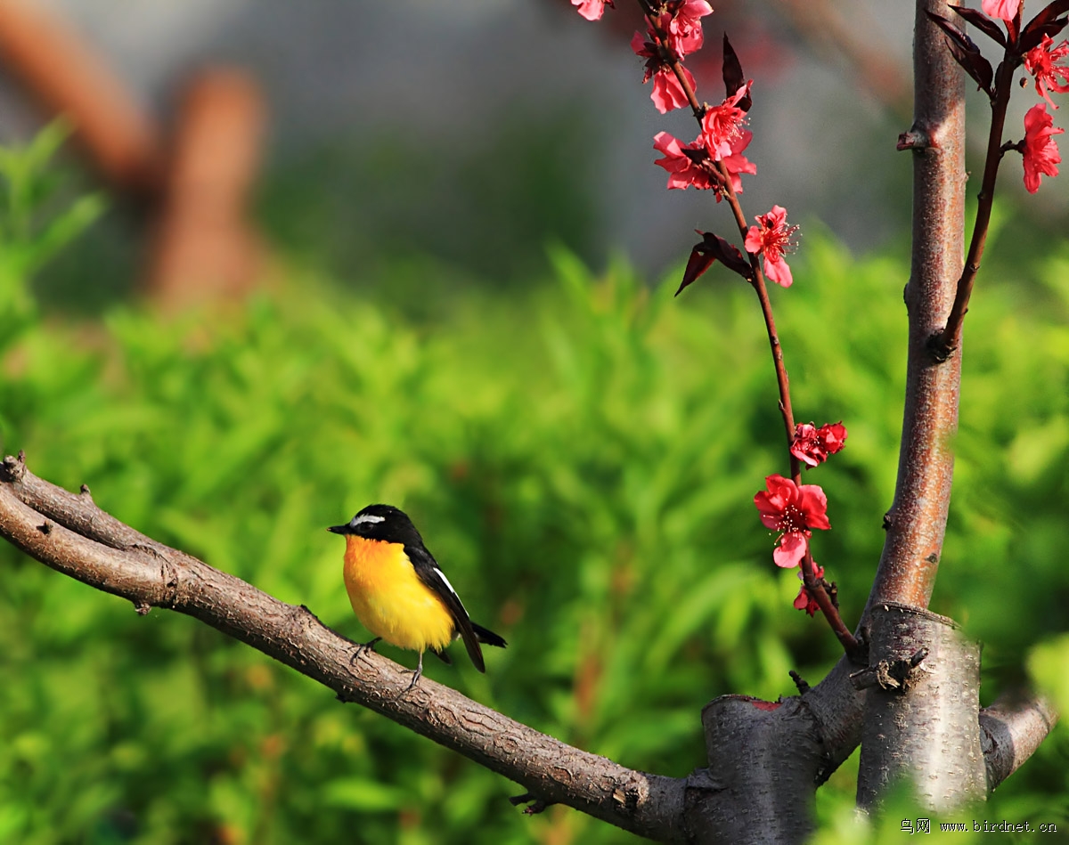 �ҰѲ�����ʪ�ع�������ֳ���3����Ҫ·�ߣ�3����ˮ���������ģ�2������Ҫ��������һֱ��Ϊ��2����������ܰ������ĳ��ܺõ�Ƭ��������Ϊ�������̻���ľ�������������������ʪ��֮ǰ����������ʫ�δʣ���