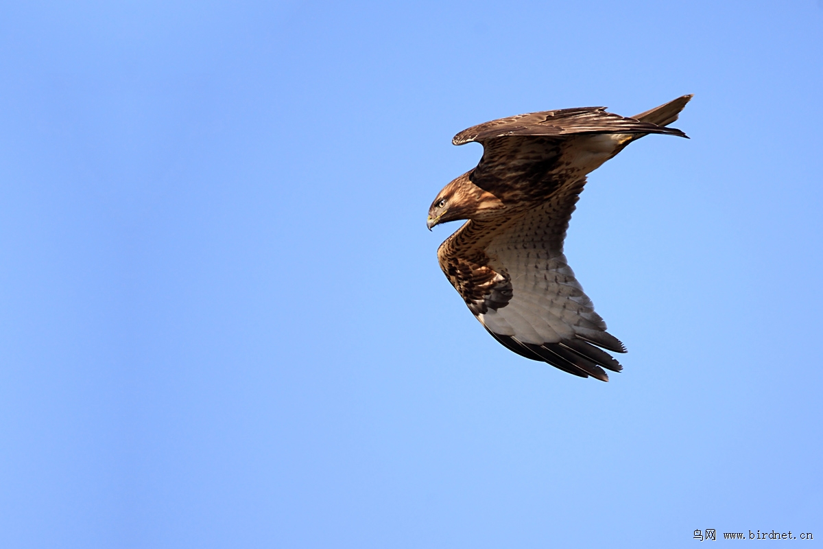 ��ͨ�\����ܶ࣬���ǣ����������ʱ����࣬Ҳ������