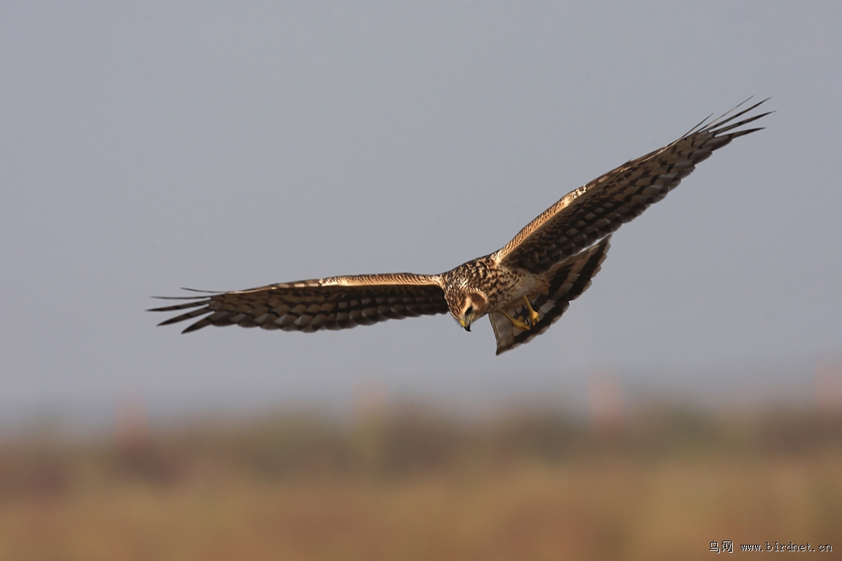 ��¶�������ݿ�ʼǨ����