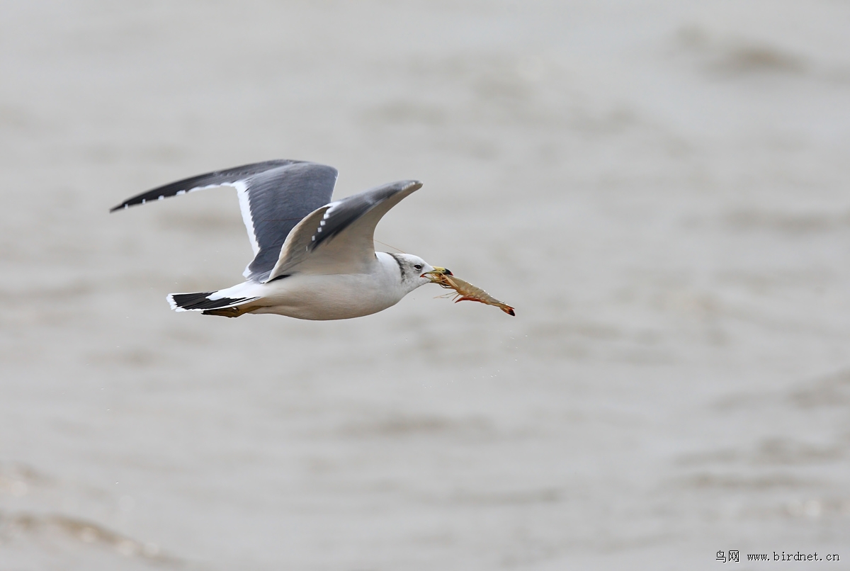 9�µײ�����ʪ�صĶ�Ϻ����10�����ֳ��ˣ���βŸ�ھ����������