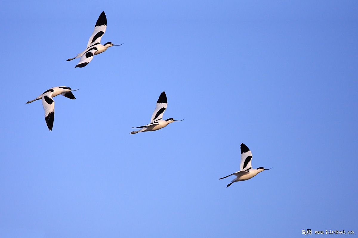 ���죬�ڳ���Ϻ��Ϻ�����棬�����ֶ����ʱ�������Ŀ