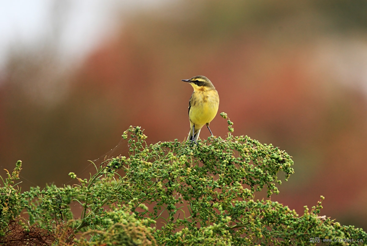 �n�_������ʪ�غܶ࣬�������Ҳ����