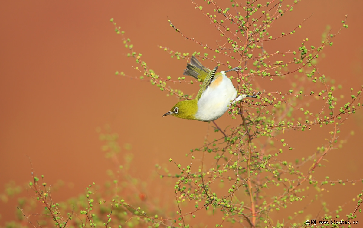 ����Ư��������ɾ�����λ���񼸺�ƽ�У���1�ŵ��������Ҫ�ص�