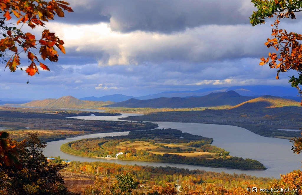 珍宝岛湿地风光