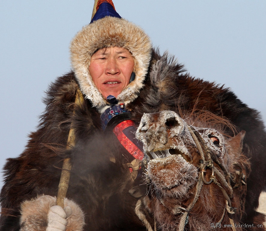 呼伦贝尔草原上的巴尔虎蒙古人之四(牧人)