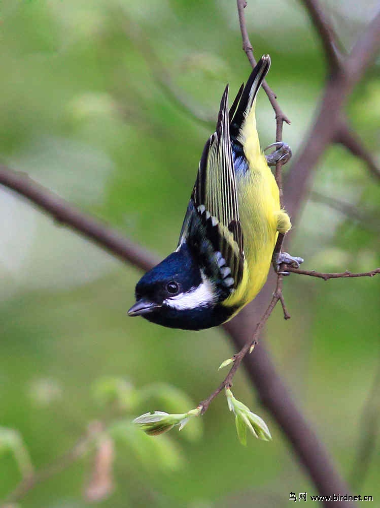 749_1000竖版 竖屏