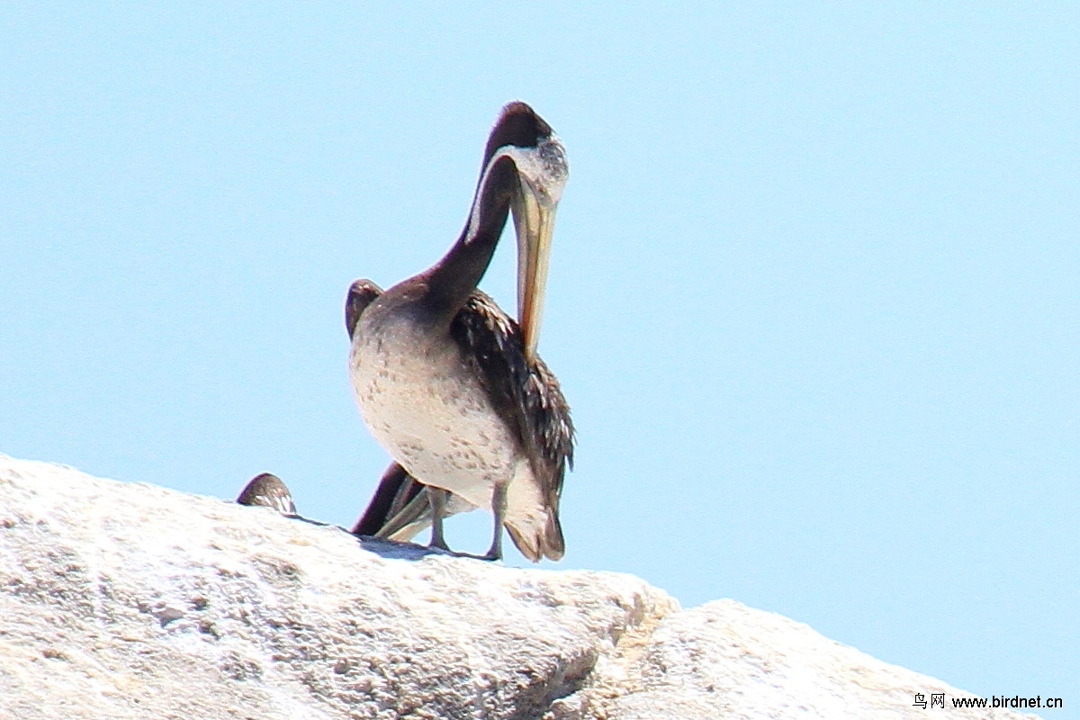 jpg��������