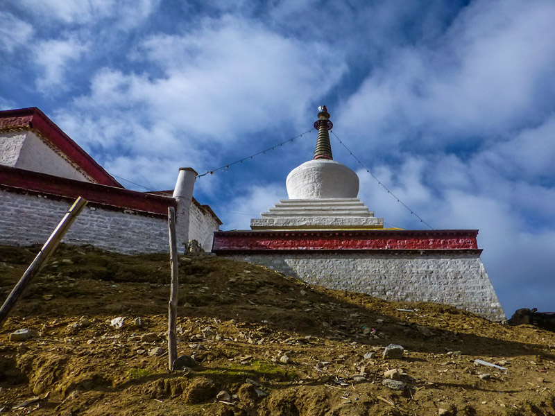 藏马鸡拉萨雄色寺的藏马鸡