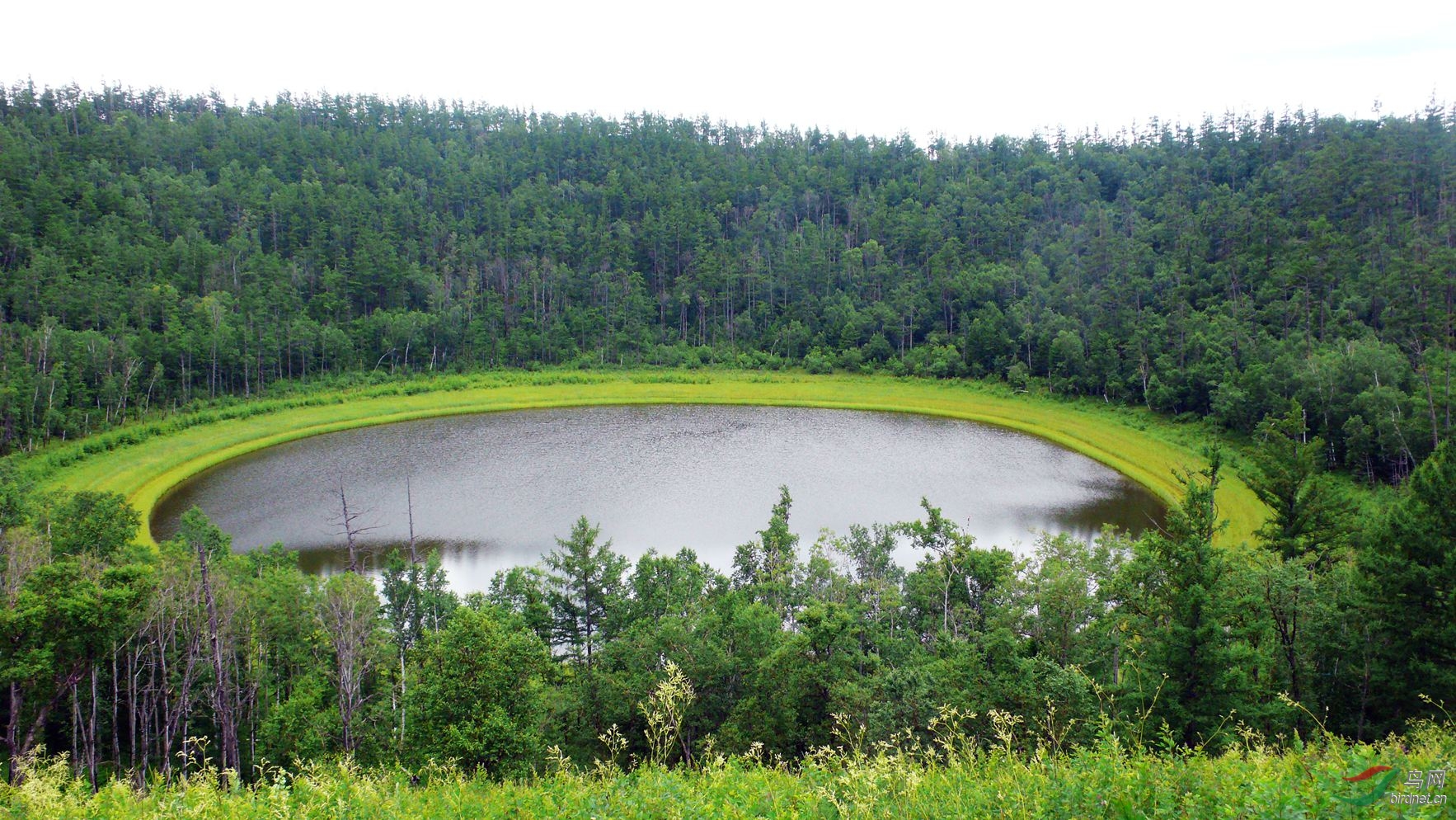 柴河的月亮天池