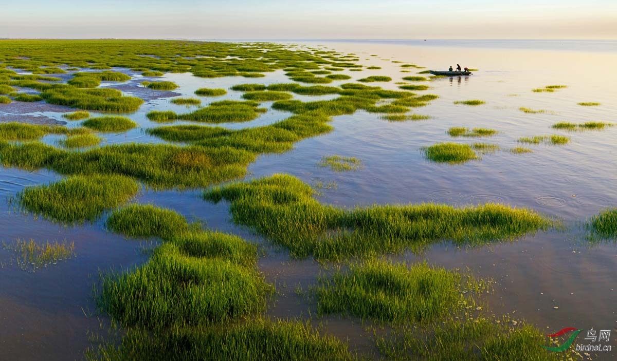 祝贺盘锦双台河口国家级自然保护区 荣膺"十大魅力湿地"