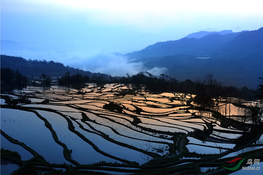 哈尼梯田