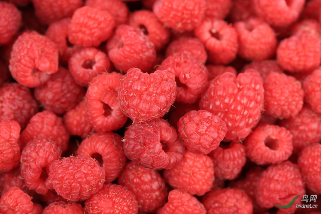 3小兴安岭(图文小说 )