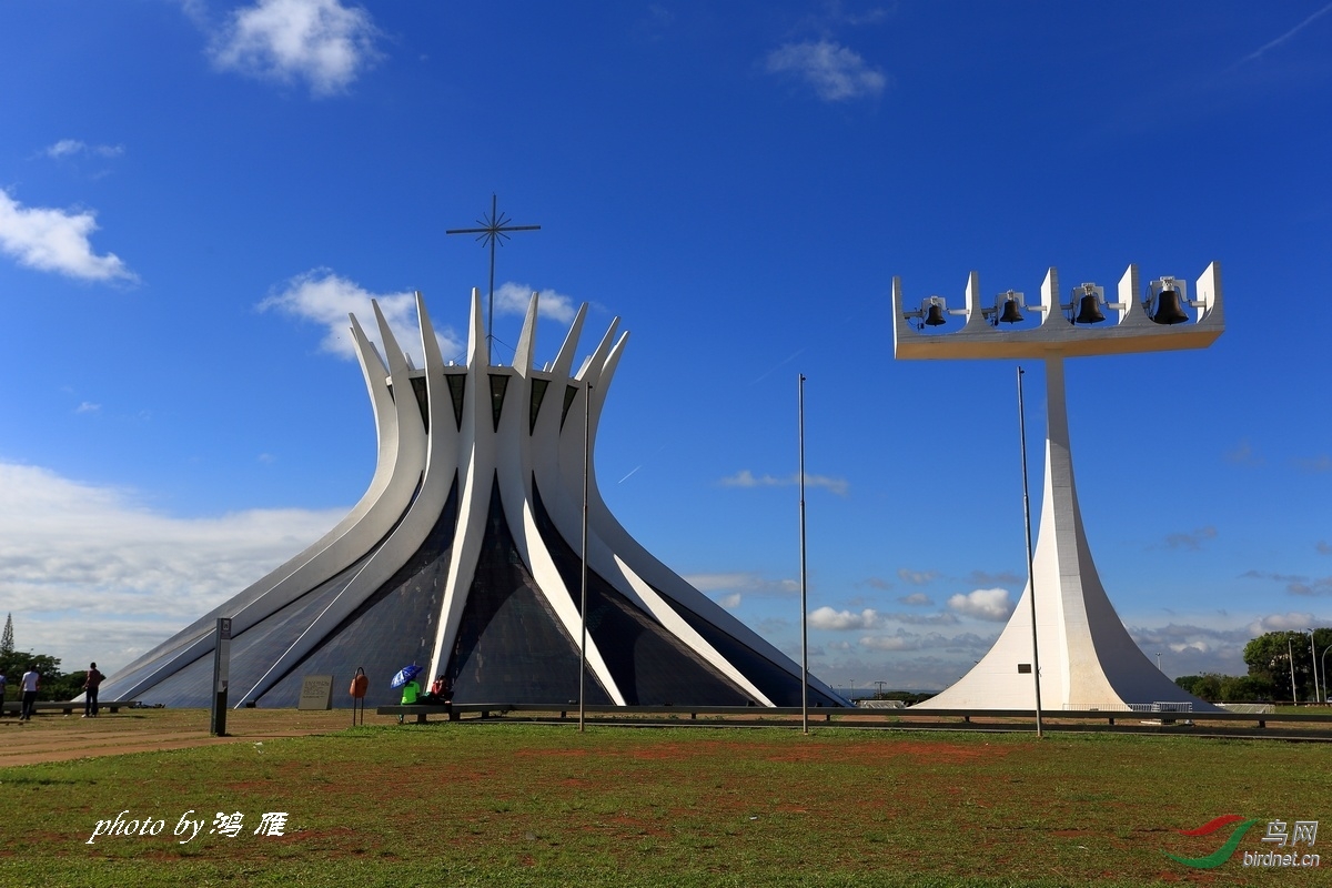 巴西鸟人的天堂