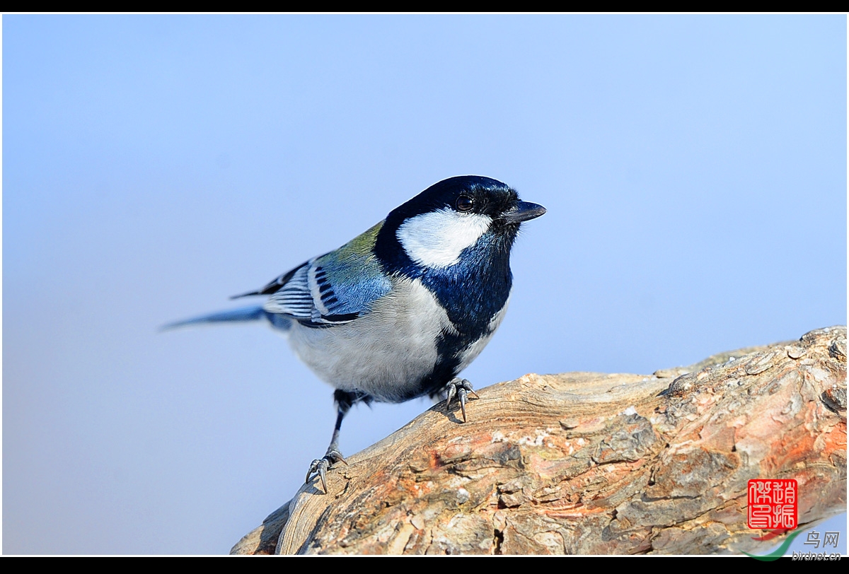dsc_9742.jpg