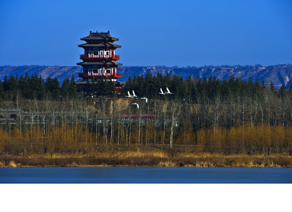天鹅湖