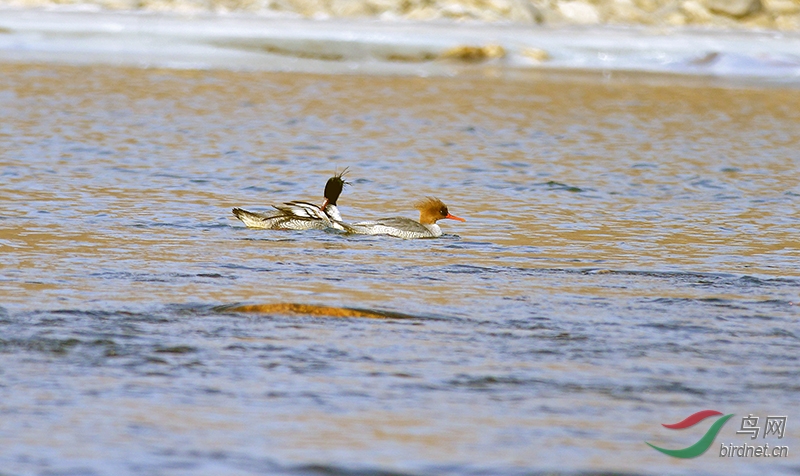DSC_2635.jpg