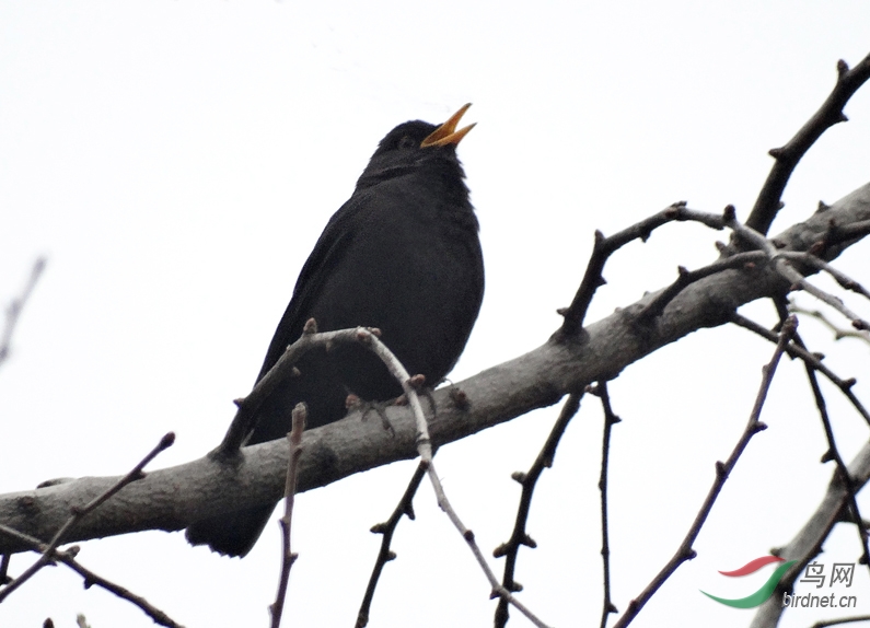 DSC05341 ����.jpg