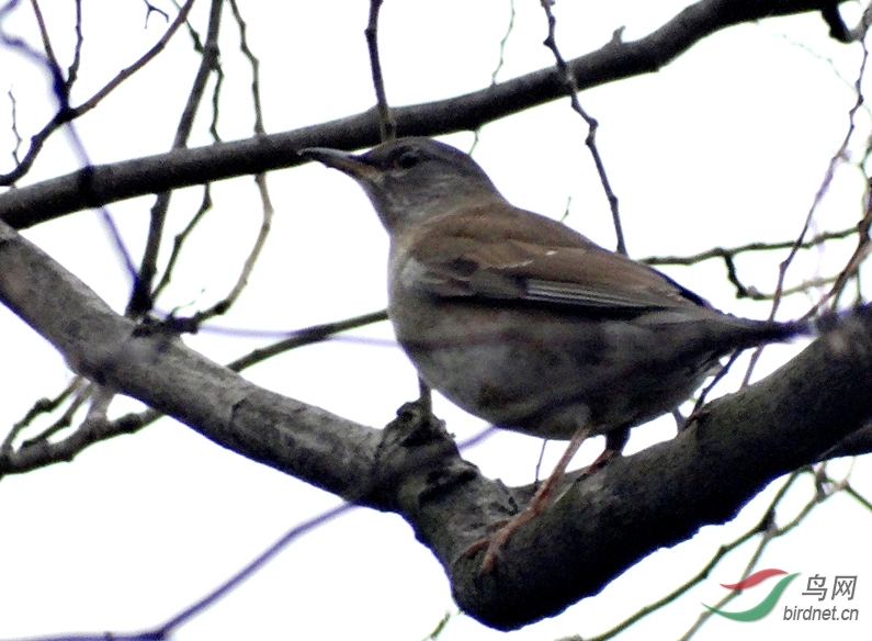 DSC05351 ����.jpg