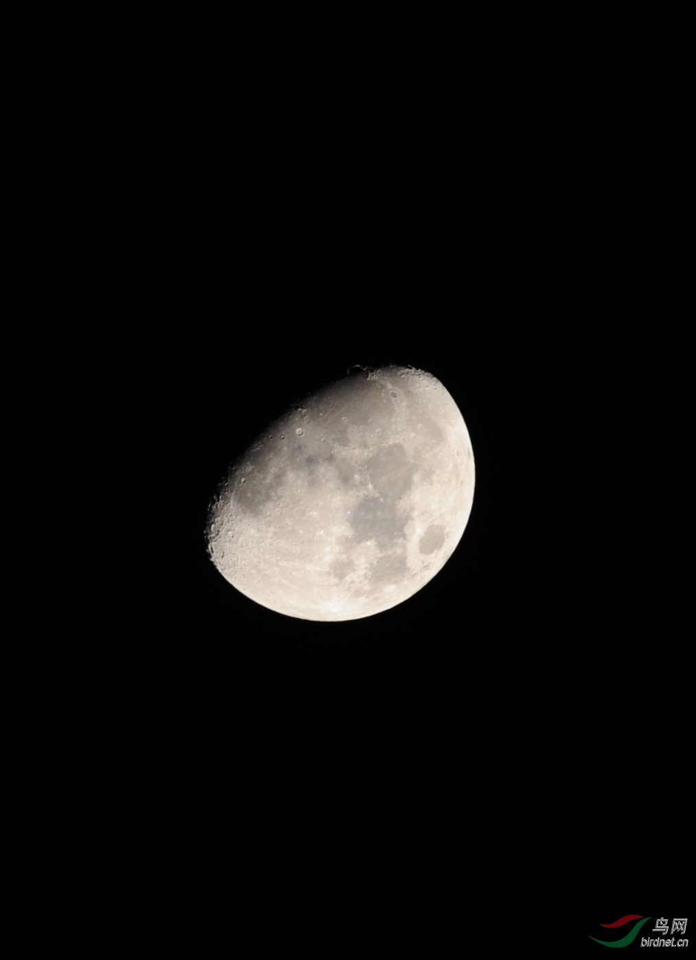 农历十一的月亮图片