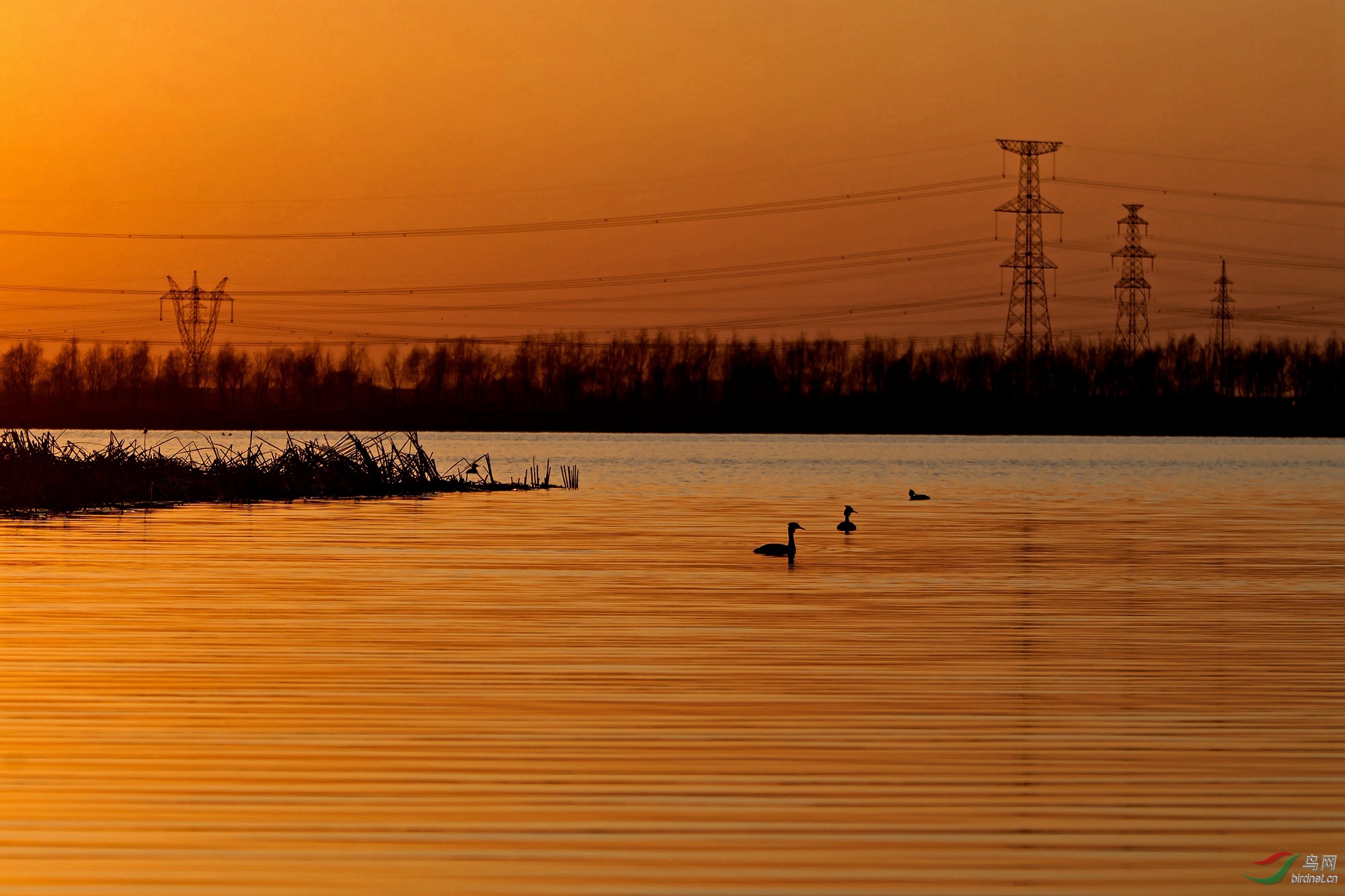 金色池塘---铁岭莲花湖的傍晚