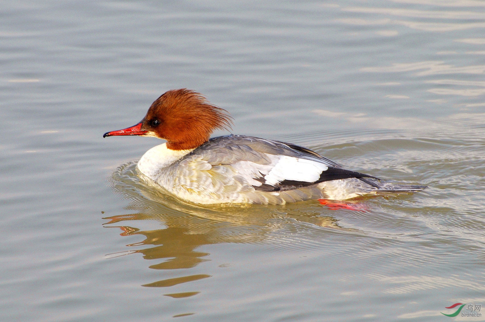 秋沙美眉恋暖江