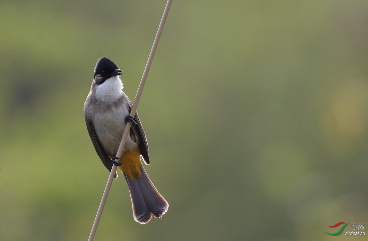 2014.04.04������Ƭ�� (7)����.JPG