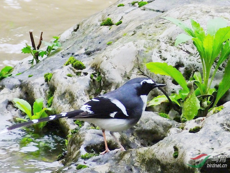 �ұ���β��������������¡��ˮϿ�ط�