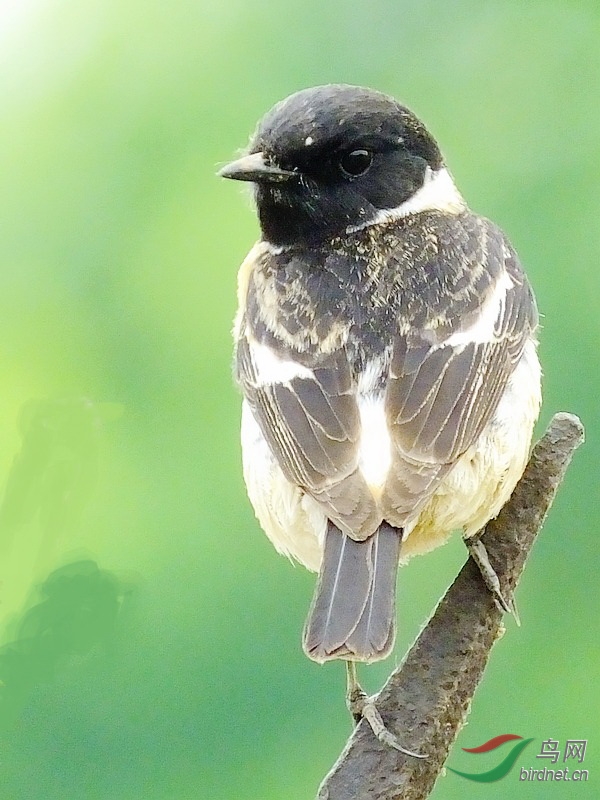 DSCF7543.jpg