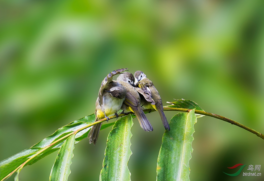 ������.jpg
