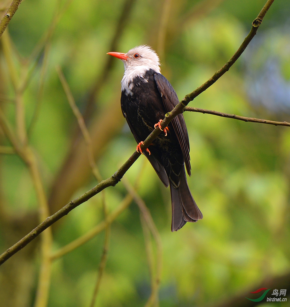 DSC_70800.jpg