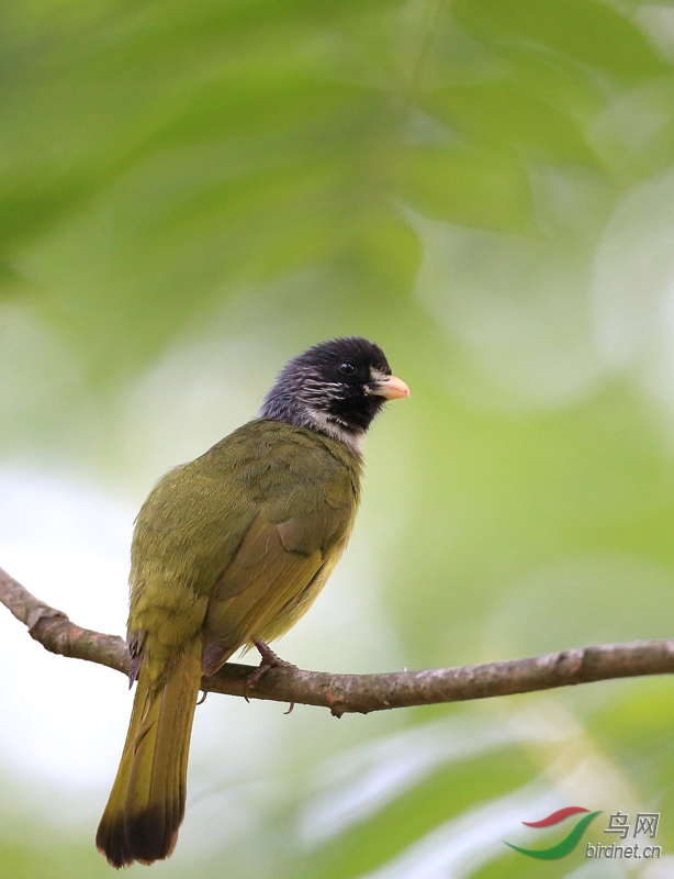 ��ȸ���� .jpg