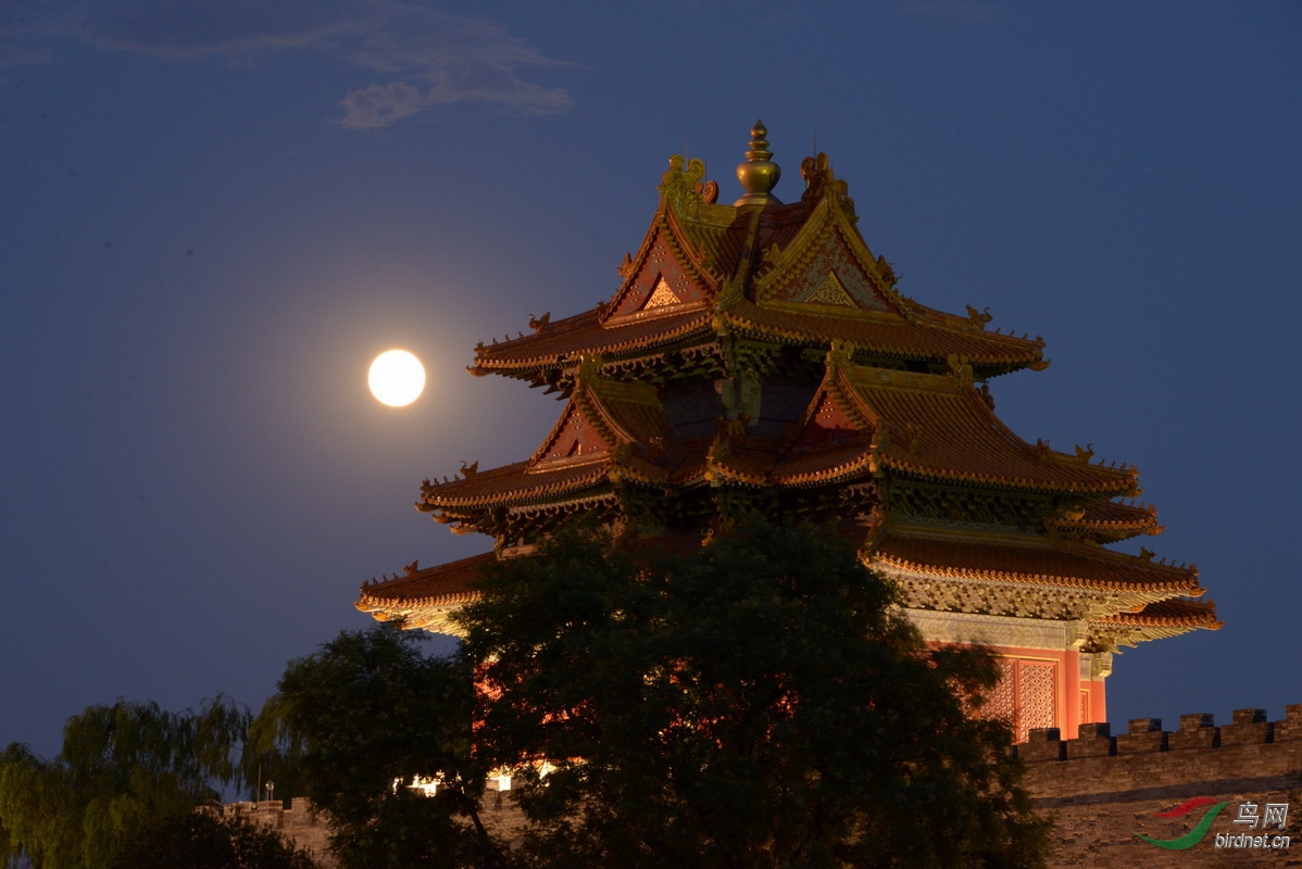 140712北京故宫月色08_调整大小.jpg