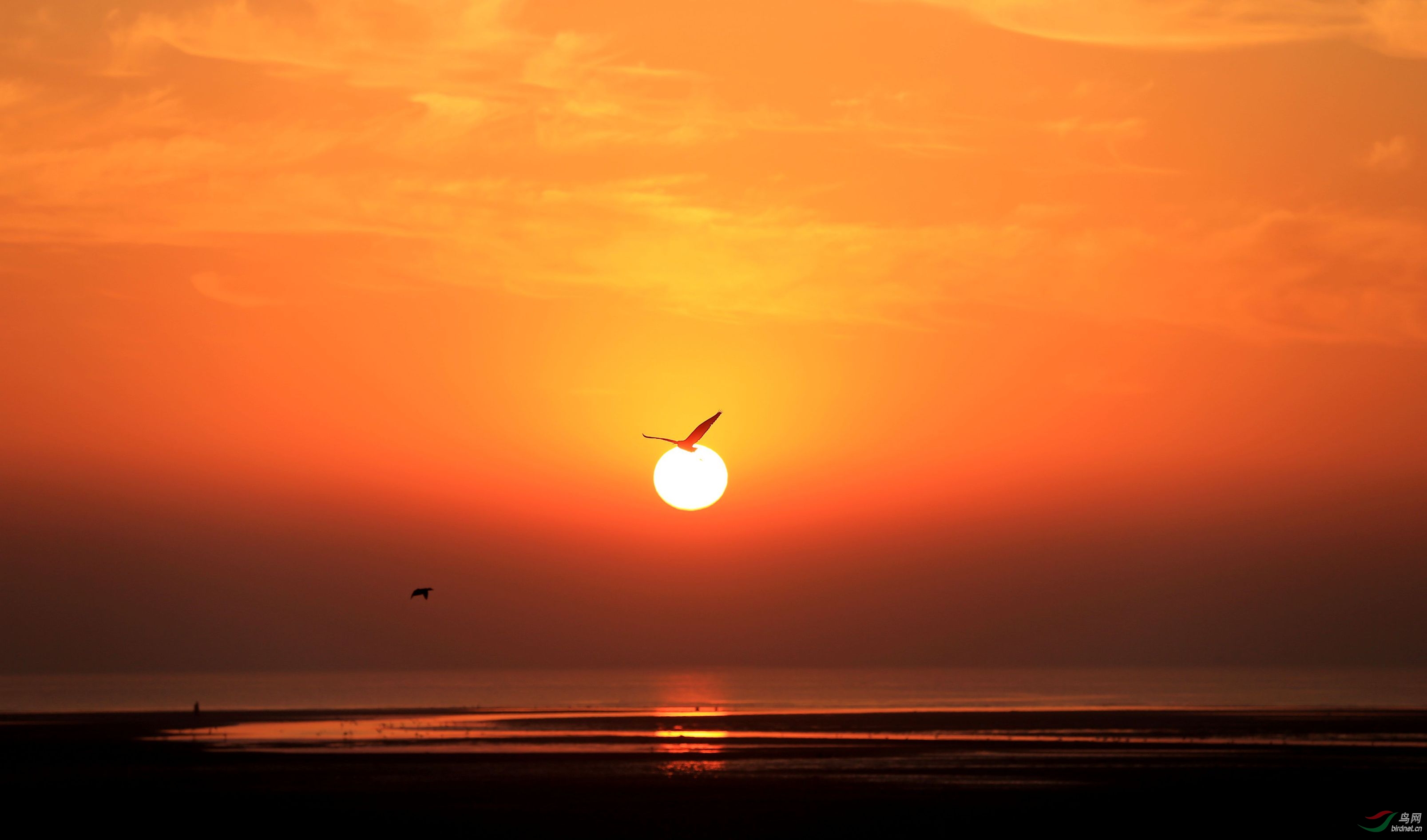 北戴河鸽子窝旭日东升