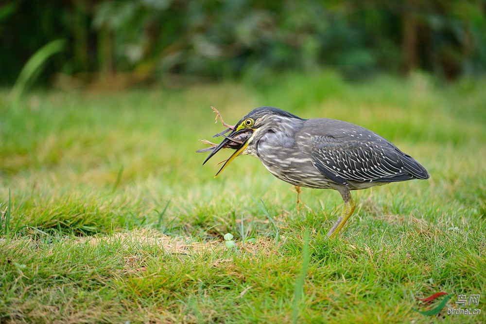 DSC_0166.JPG
