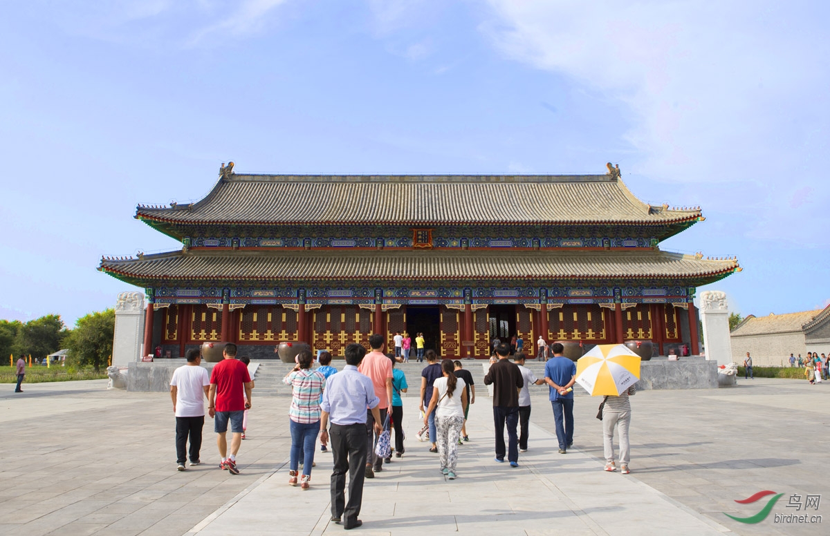 (蓑羽鹤)通辽:热烈那达慕,草原有俊鸟